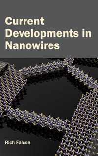 Current Developments in Nanowires