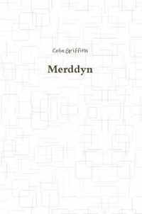 Merddyn
