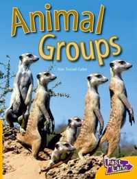 Animal Groups Fast Lane Yellow Non-Fiction