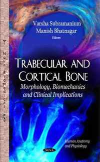 Trabecular & Cortical Bone