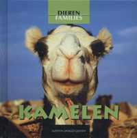 Dierenfamilies  -   Kamelen