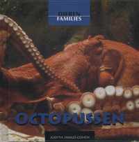 Dierenfamilies  -   Octopussen