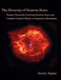 The Diversity of Neutron Stars