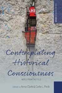 Contemplating Historical Consciousness