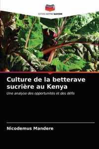 Culture de la betterave sucriere au Kenya