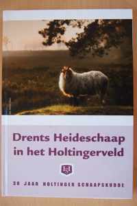 Drents Heideschaap in het holtingerveld