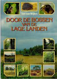 Door de bossen van de lage landen