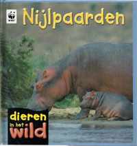 Dieren in het wild - Nijlpaarden