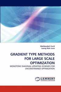 Gradient Type Methods for Large Scale Optimization