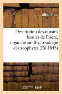 Description Des Oursins Fossiles Du Departement de l'Isere: Precedee de Notions Elementaires