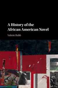 A History of the African American Novel