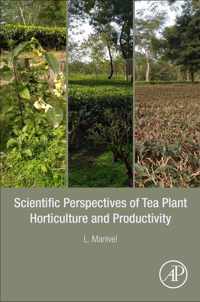 Scientific Perspectives of Tea Plant Horticulture and Productivity