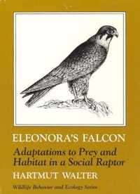 Eleonora's Falcon: Adaptations to Prey and Habitat in a Social Raptor