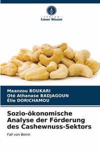 Sozio-oekonomische Analyse der Foerderung des Cashewnuss-Sektors