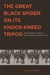 Great Black Spider on Its Knock-Kneed Tripod