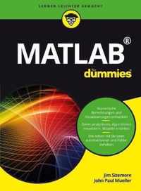 Matlab fur Dummies