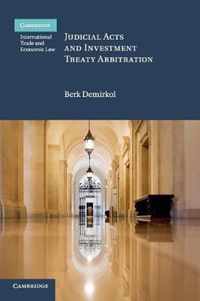 Judicial Acts and Investment Treaty Arbitration
