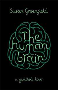 The Human Brain