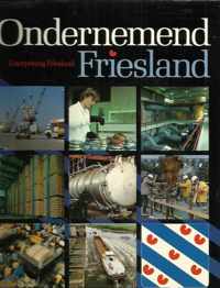 Ondernemend friesland enterpr.friesland