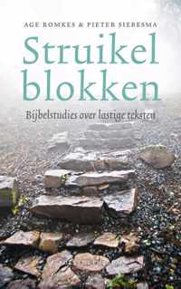 Struikelblokken