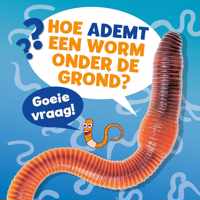 Goeie vraag!  -   Hoe ademt een worm onder de grond?