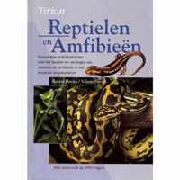 Reptielen En Amfibieen