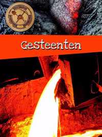 Schatgravers - Gesteenten