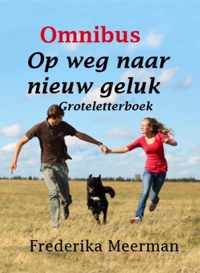 Op weg naar nieuw geluk - Frederika Meerman - Paperback (9789462602281)