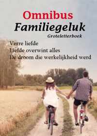 Familiegeluk - Frederika Meerman, Gerda Pennings, Joke Aarts - Paperback (9789462602359)