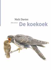 De vogelserie 6 -   De koekoek