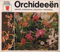 Orchideeen