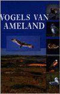 Vogels van ameland