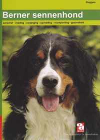 Over Dieren  -   De Berner Sennenhond