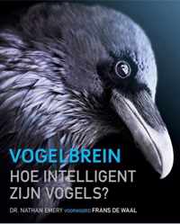 Vogelbrein. Hoe intelligent zijn vogels?