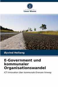 E-Government und kommunaler Organisationswandel