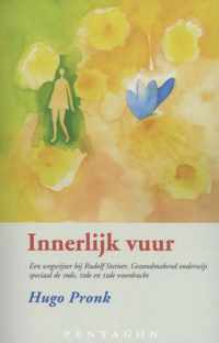 Innerlijk vuur - Hugo Pronk - Paperback (9789490455736)