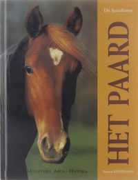 Het paard