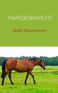 Paardenkracht