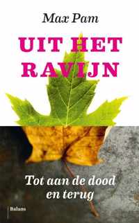 Uit het ravijn