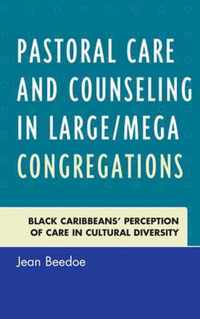 Pastoral Care and Counseling in Large/Mega Congregations