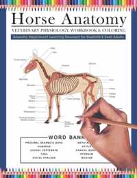 Horse Anatomy Veterinary Physiology Workbook and Coloring Anatomy Magnificent Learning Structure for Students & Even Adults