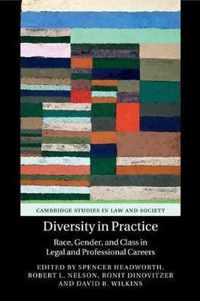 Diversity in Practice