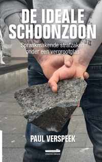 De Ideale Schoonzoon