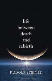 Life Between Death and Rebirth