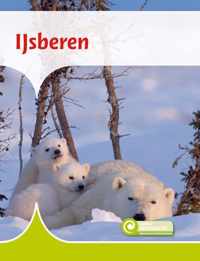 Junior Informatie 103 -   IJsberen