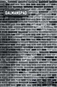 Galmanspad - Reinier van Delden - Paperback (9789464480283)