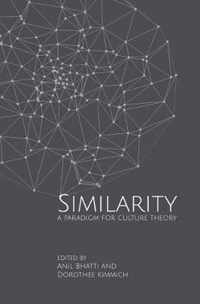 Similarity: A Paradigm for Culture Theory