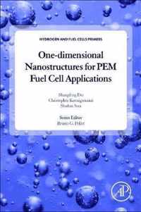 One-dimensional Nanostructures for PEM Fuel Cell Applications