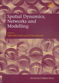 Spatial Dynamics, Networks and Modelling