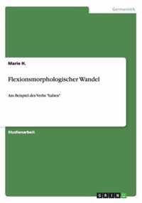 Flexionsmorphologischer Wandel: Am Beispiel des Verbs haben